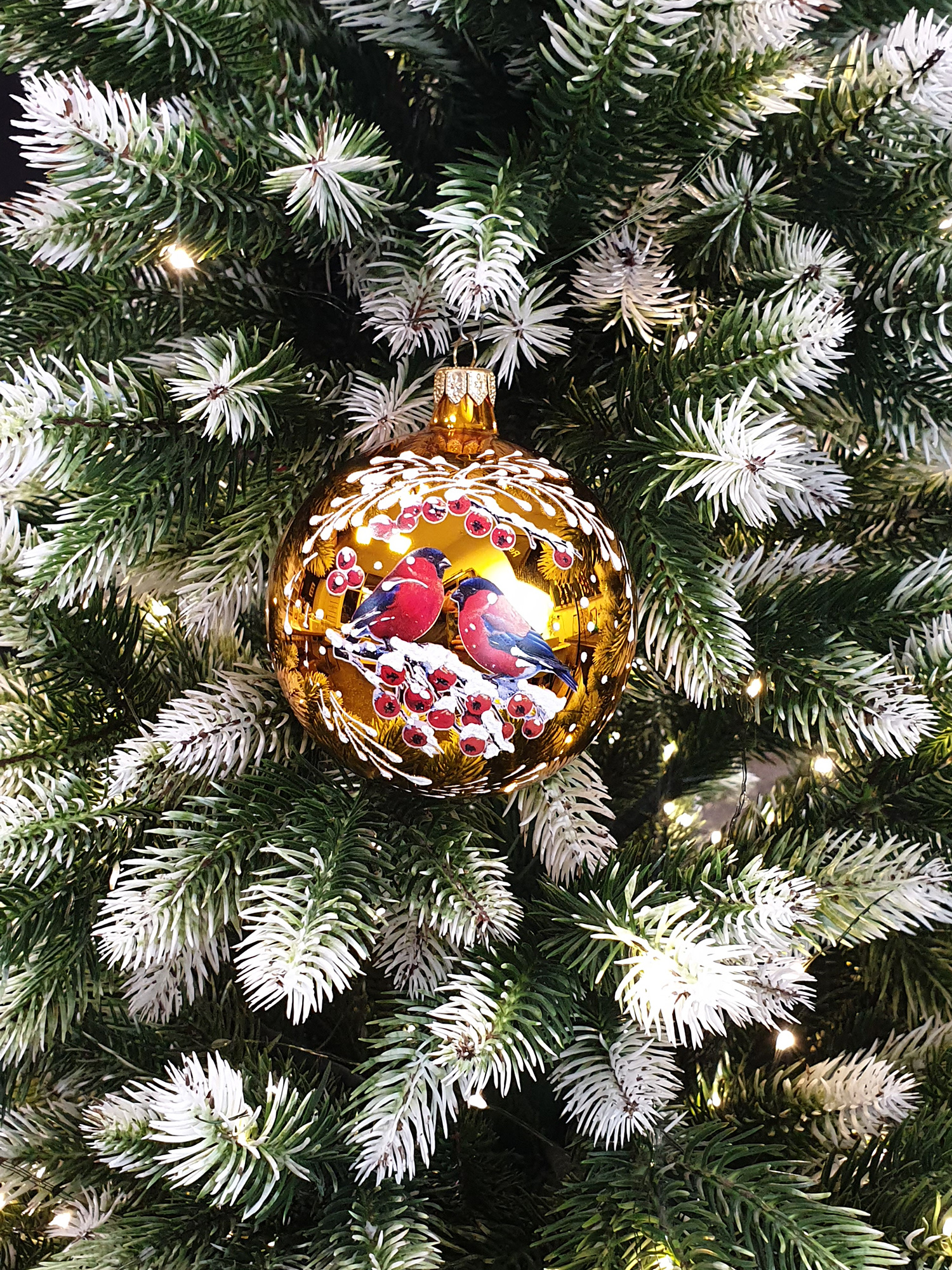 Парочка снегирей 